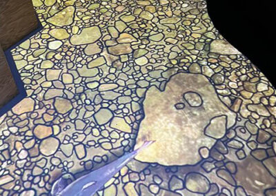 Womb of Creation 4 INFINITY PRODUCTIONS PORTFOLIO HOSPITALITY Exhibts Arts Entertainment Womb of Creation Frazier History Museum 012