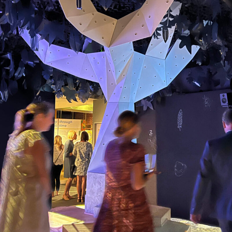 INFINITY PRODUCTIONS PORTFOLIO HOSPITALITY Exhibts Arts Entertainment Womb of Creation Frazier History Museum 014