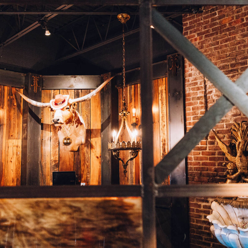 20241230 A7 05968 CalebPerryPhotography LeMoo