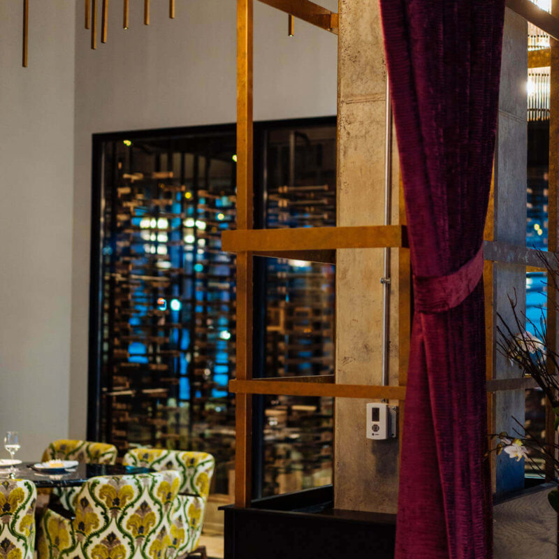 20250327 A7 05953 CalebPerryPhotography Infinity Canopy HotelBourreBonne