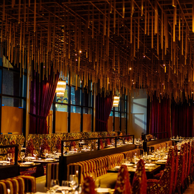 20250327 A7 06012 CalebPerryPhotography Infinity Canopy HotelBourreBonne