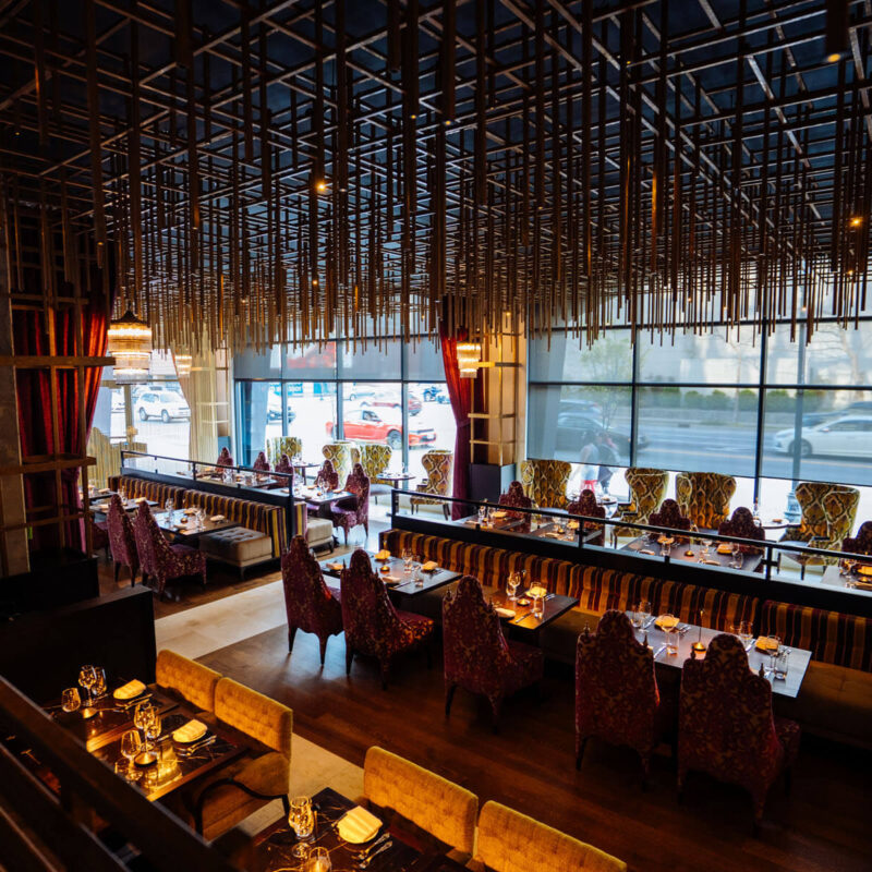 20250416 A7 01428 CalebPerryPhotography Infinity Canopy HotelBourreBonne