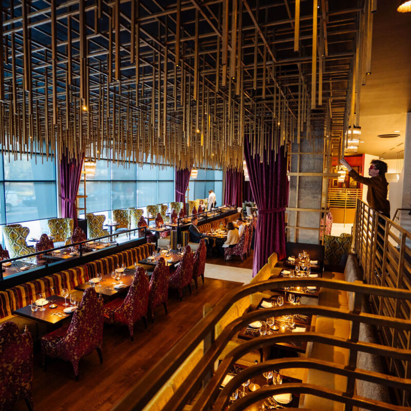 Services 24 20250416 A7 01477 CalebPerryPhotography Infinity Canopy HotelBourreBonne