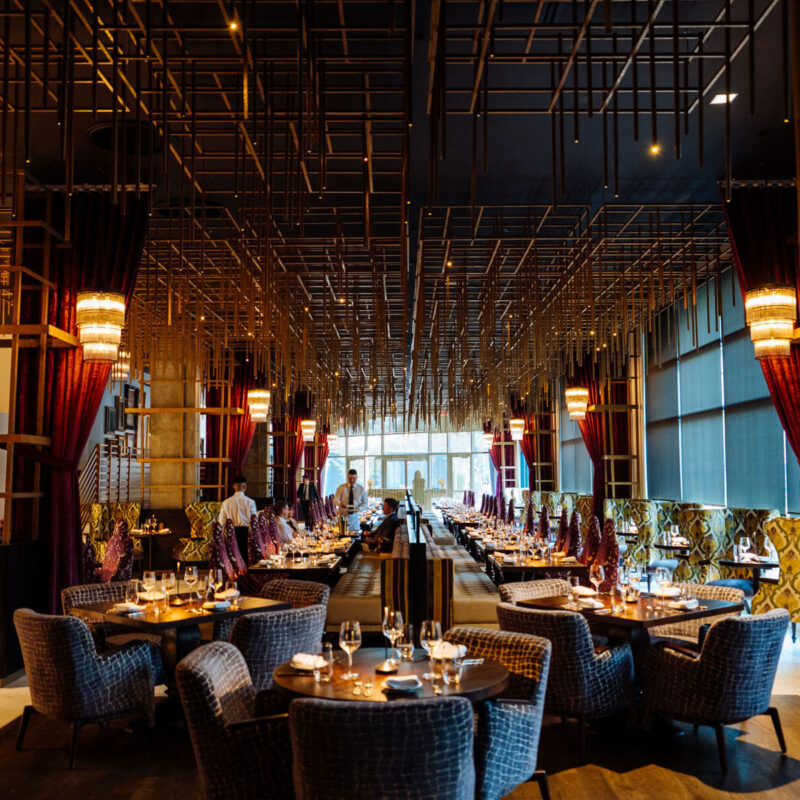 20250416 A7 01695 CalebPerryPhotography Infinity Canopy HotelBourreBonne