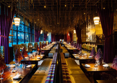 20250416 A7 01994 CalebPerryPhotography Infinity Canopy HotelBourreBonne