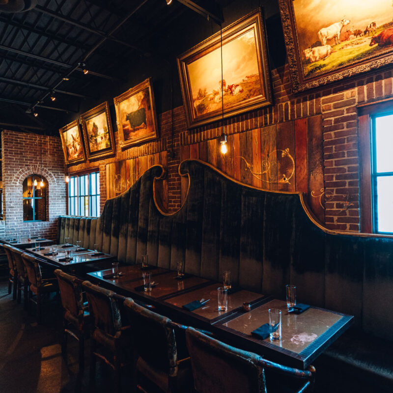 20241230 A7 06260 CalebPerryPhotography LeMoo