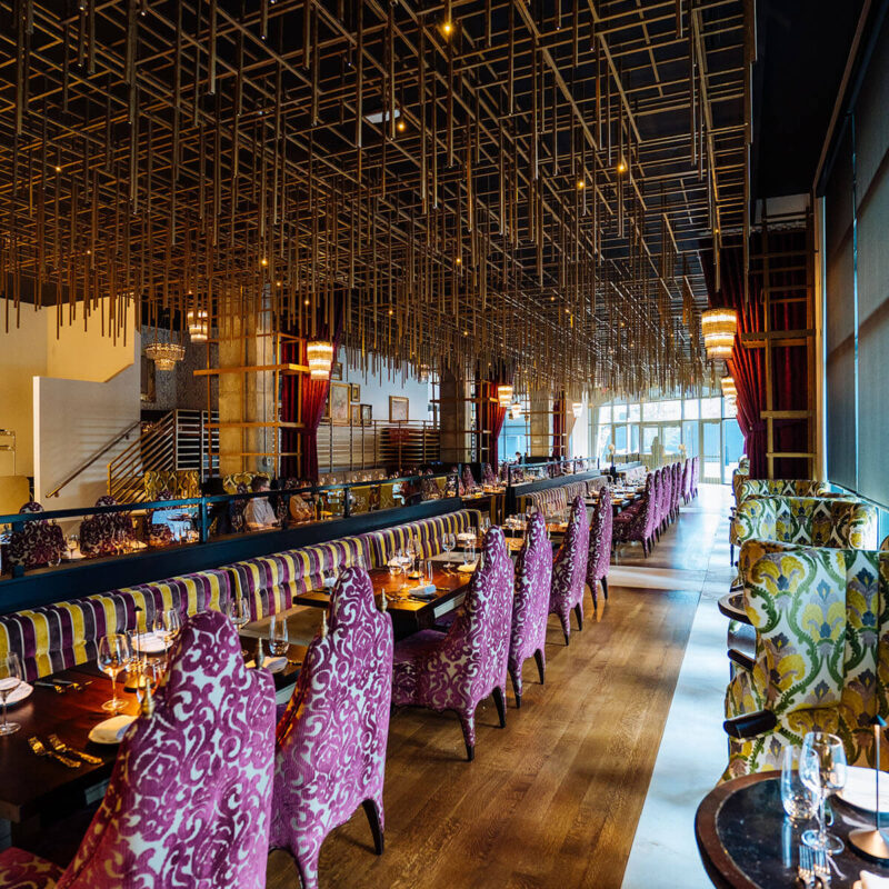 20250416 A7 01732 CalebPerryPhotography Infinity Canopy HotelBourreBonne