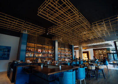 20250416 A7 01805 CalebPerryPhotography Infinity Canopy HotelBourreBonne