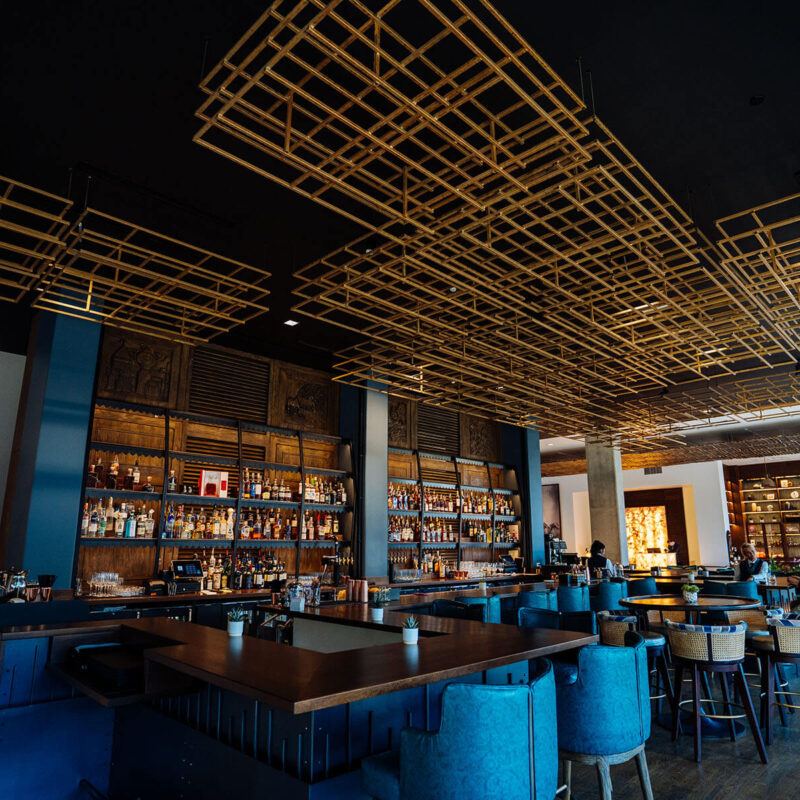 20250416 A7 01805 CalebPerryPhotography Infinity Canopy HotelBourreBonne