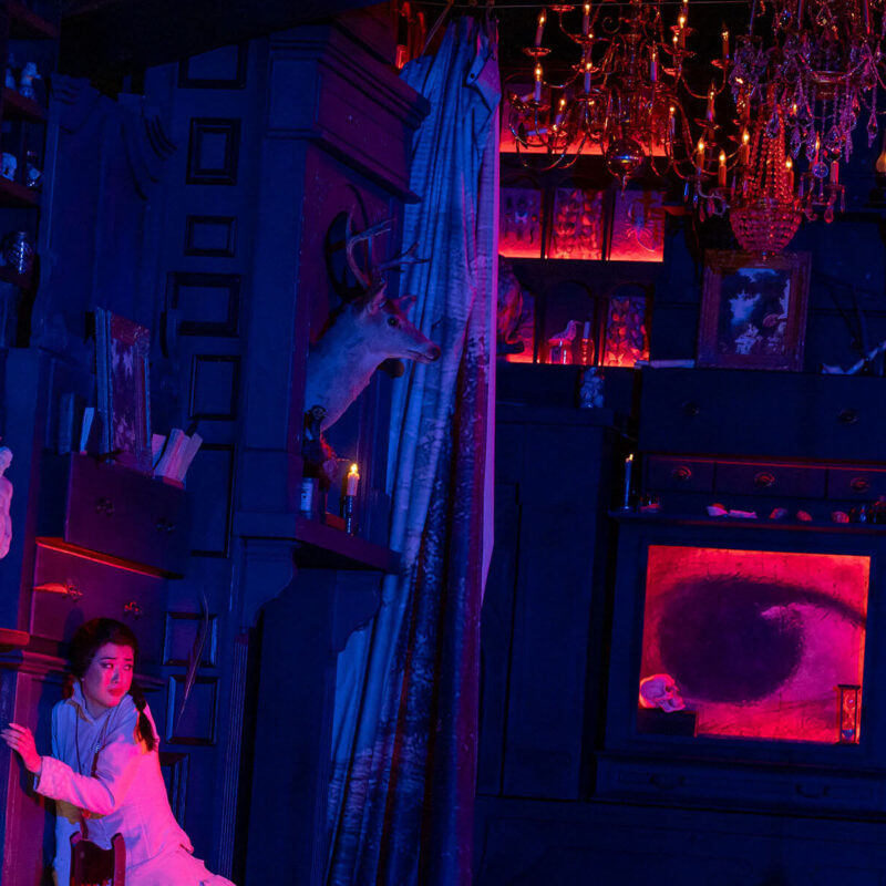 INFINITY PRODUCTIONS PORTFOLIO THEATRE PERFORMING ARTS CHICAGO OPERA AVA FAUST LANDSCAPE 01