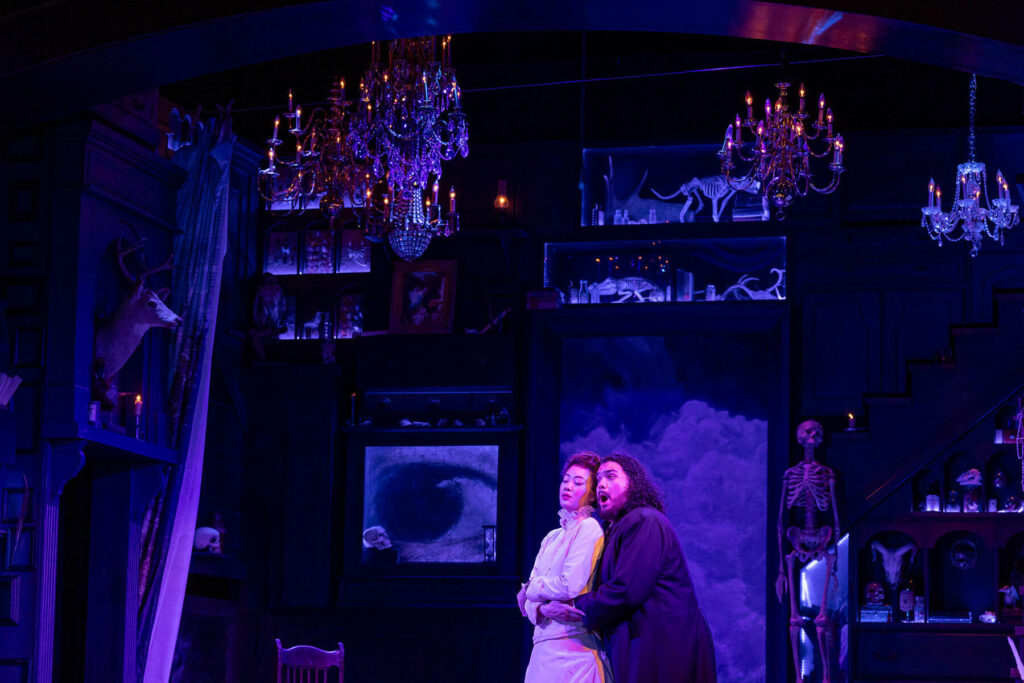 INFINITY-PRODUCTIONS-PORTFOLIO-THEATRE-PERFORMING-ARTS-CHICAGO-OPERA-AVA-FAUST-LANDSCAPE-02 INFINITY PRODUCTIONS PORTFOLIO THEATRE PERFORMING ARTS CHICAGO OPERA AVA FAUST LANDSCAPE 02
