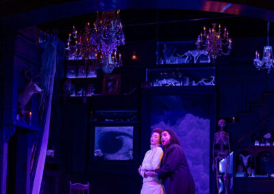 INFINITY PRODUCTIONS PORTFOLIO THEATRE PERFORMING ARTS CHICAGO OPERA AVA FAUST LANDSCAPE 02