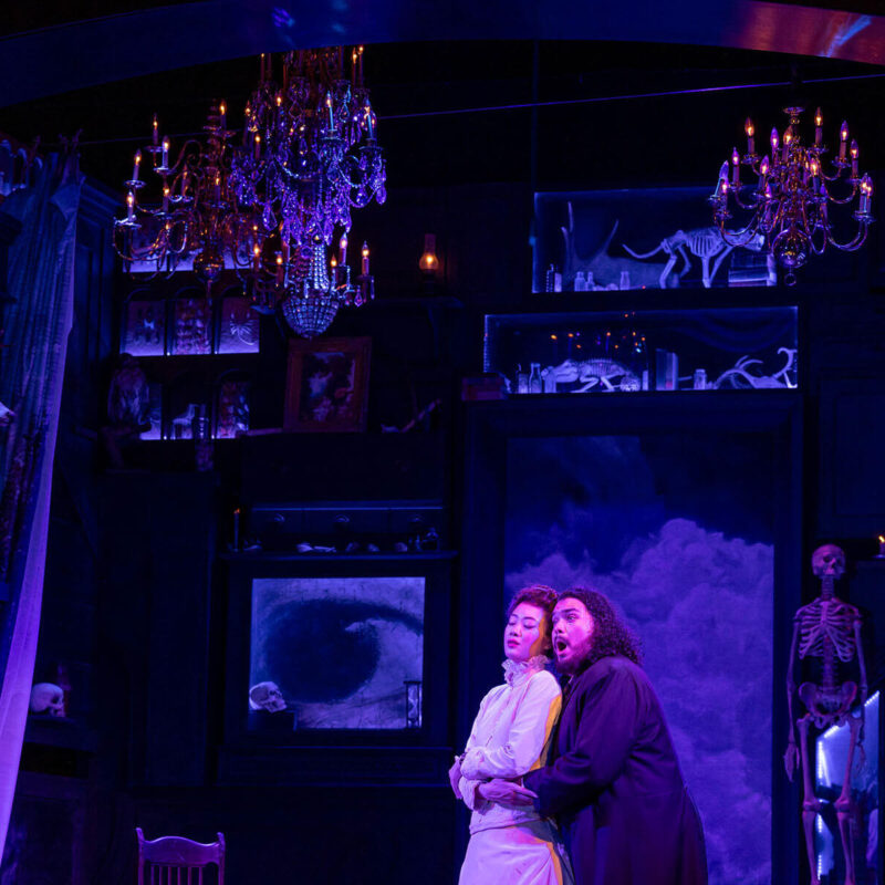 INFINITY PRODUCTIONS PORTFOLIO THEATRE PERFORMING ARTS CHICAGO OPERA AVA FAUST LANDSCAPE 02