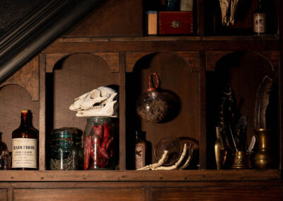 INFINITY PRODUCTIONS PORTFOLIO THEATRE PERFORMING ARTS CHICAGO OPERA AVA FAUST LANDSCAPE 08