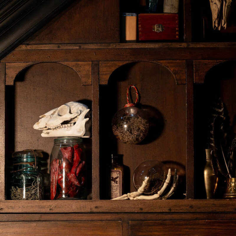 INFINITY PRODUCTIONS PORTFOLIO THEATRE PERFORMING ARTS CHICAGO OPERA AVA FAUST LANDSCAPE 08