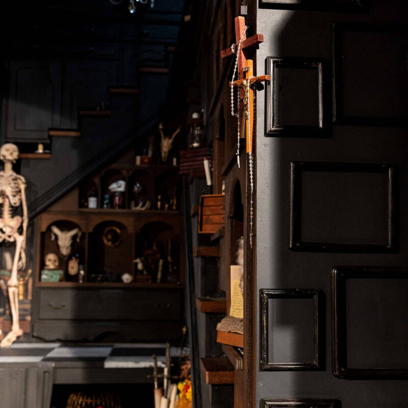 INFINITY PRODUCTIONS PORTFOLIO THEATRE PERFORMING ARTS CHICAGO OPERA AVA FAUST PORTRAIT 01