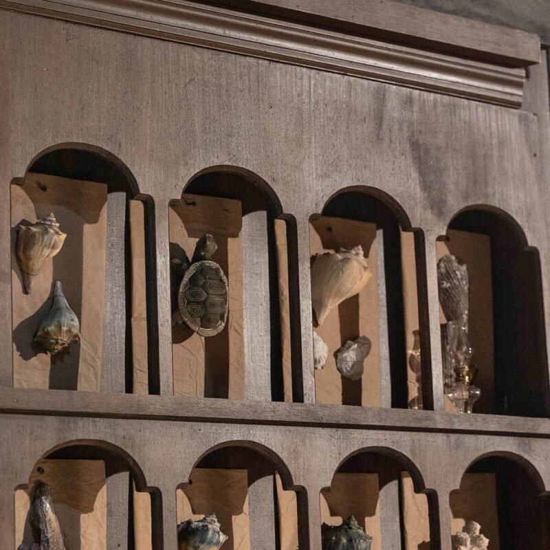 INFINITY PRODUCTIONS PORTFOLIO THEATRE PERFORMING ARTS CHICAGO OPERA AVA FAUST PORTRAIT 02