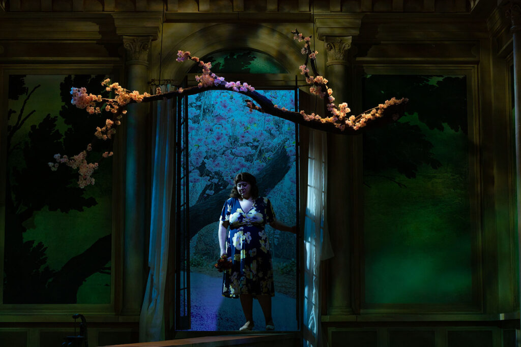 INFINITY PRODUCTIONS PORTFOLIO THEATRE PERFORMING ARTS CHICAGO OPERA AVA FRITZ LANDSCAPE 02