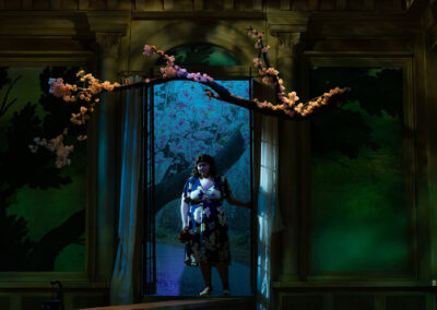 INFINITY PRODUCTIONS PORTFOLIO THEATRE PERFORMING ARTS CHICAGO OPERA AVA FRITZ LANDSCAPE 02