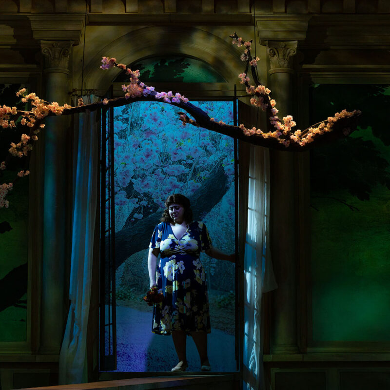 L’amico Fritz 2025 26 INFINITY PRODUCTIONS PORTFOLIO THEATRE PERFORMING ARTS CHICAGO OPERA AVA FRITZ LANDSCAPE 02