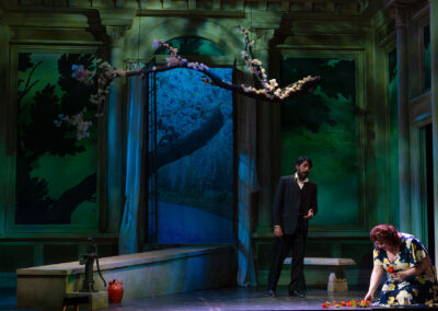 INFINITY PRODUCTIONS PORTFOLIO THEATRE PERFORMING ARTS CHICAGO OPERA AVA FRITZ LANDSCAPE 03