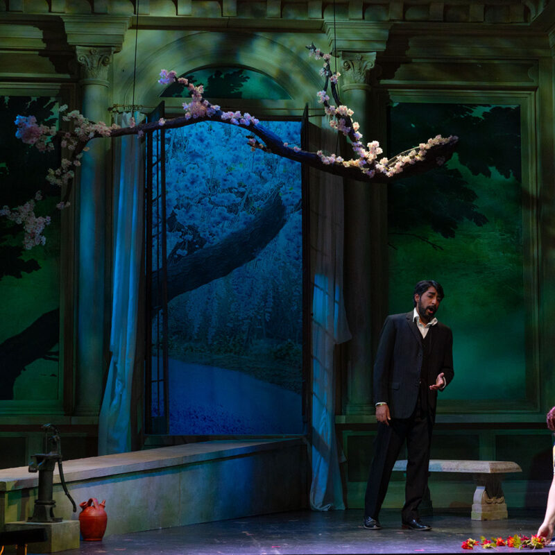 L’amico Fritz 2025 25 INFINITY PRODUCTIONS PORTFOLIO THEATRE PERFORMING ARTS CHICAGO OPERA AVA FRITZ LANDSCAPE 03