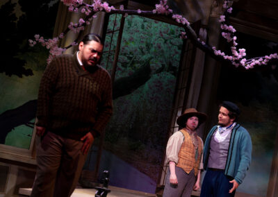 INFINITY PRODUCTIONS PORTFOLIO THEATRE PERFORMING ARTS CHICAGO OPERA AVA FRITZ LANDSCAPE 04