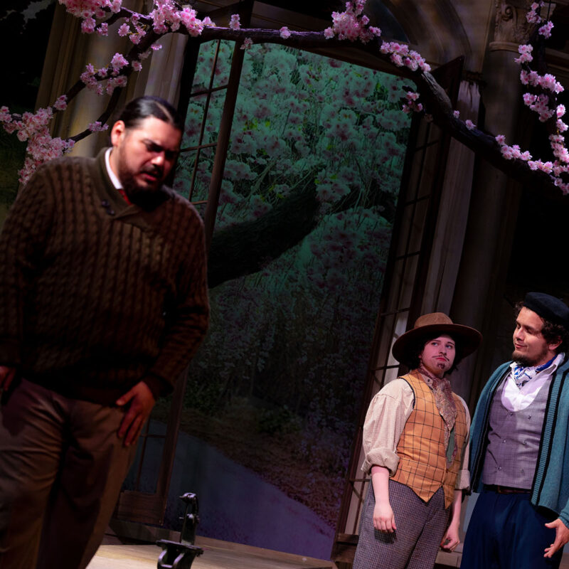 L’amico Fritz 2025 24 INFINITY PRODUCTIONS PORTFOLIO THEATRE PERFORMING ARTS CHICAGO OPERA AVA FRITZ LANDSCAPE 04