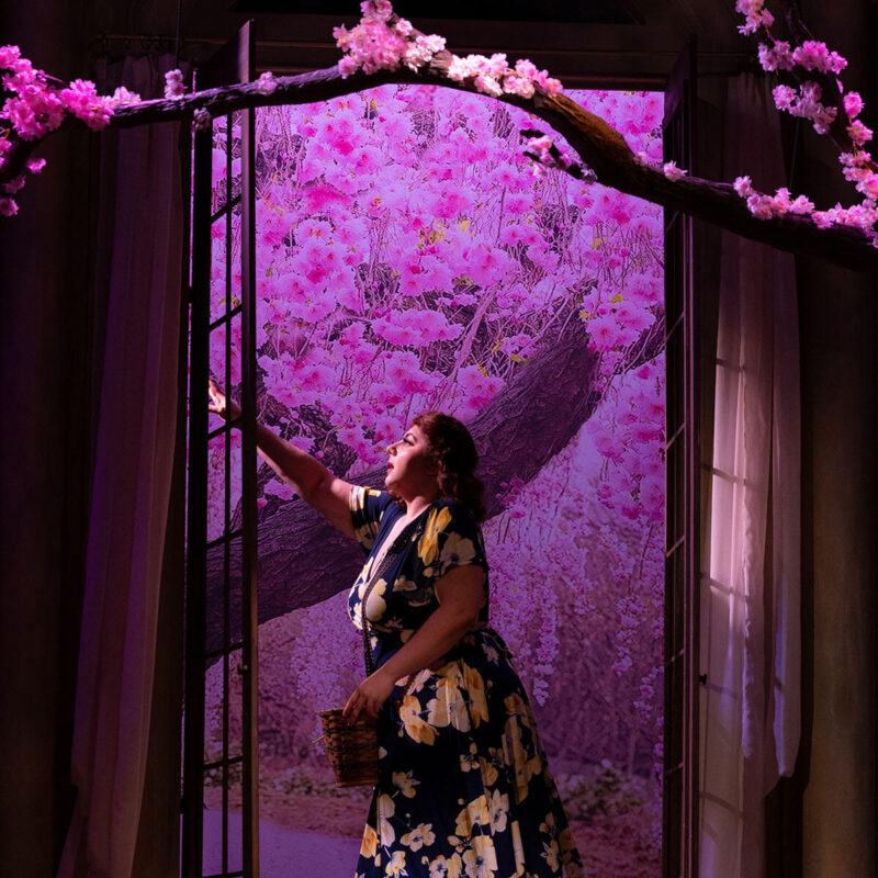 L’amico Fritz 2025 4 INFINITY PRODUCTIONS PORTFOLIO THEATRE PERFORMING ARTS CHICAGO OPERA AVA FRITZ PORTRAIT 03