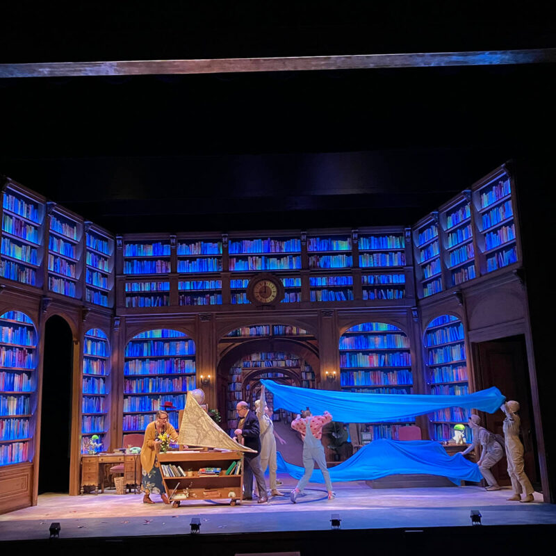 INFINITY PRODUCTIONS PORTFOLIO THEATRE PERFORMING ARTS CHICAGO OPERA Adam Theater Library Lion Landscape 012