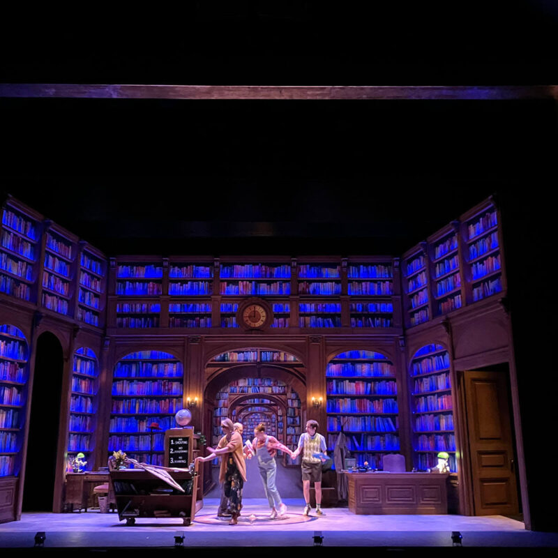 INFINITY PRODUCTIONS PORTFOLIO THEATRE PERFORMING ARTS CHICAGO OPERA Adam Theater Library Lion Landscape 013