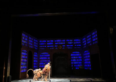 INFINITY PRODUCTIONS PORTFOLIO THEATRE PERFORMING ARTS CHICAGO OPERA Adam Theater Library Lion Landscape 014