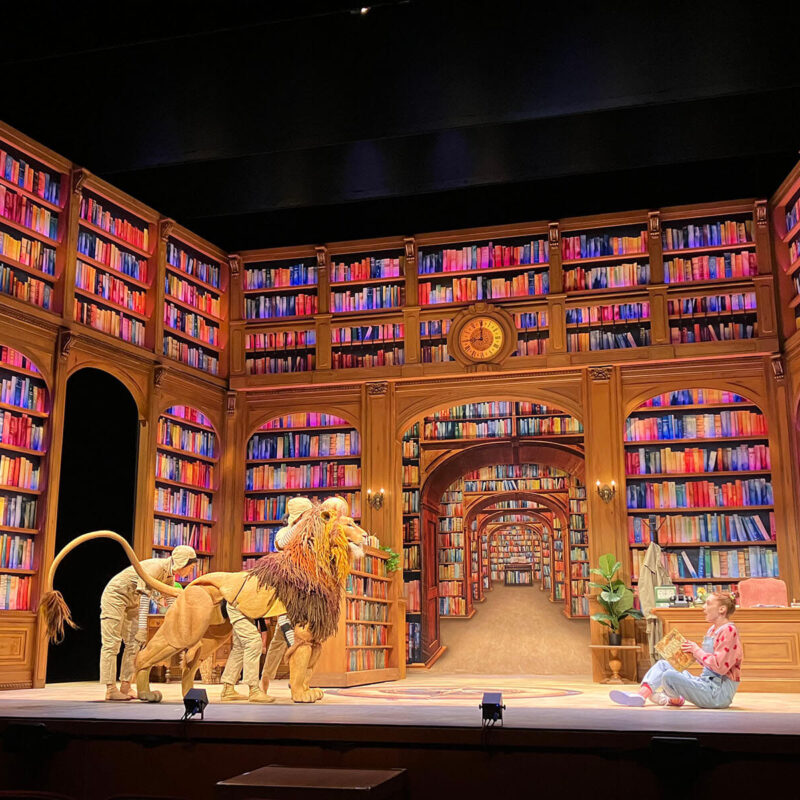 INFINITY PRODUCTIONS PORTFOLIO THEATRE PERFORMING ARTS CHICAGO OPERA Adam Theater Library Lion Landscape 016