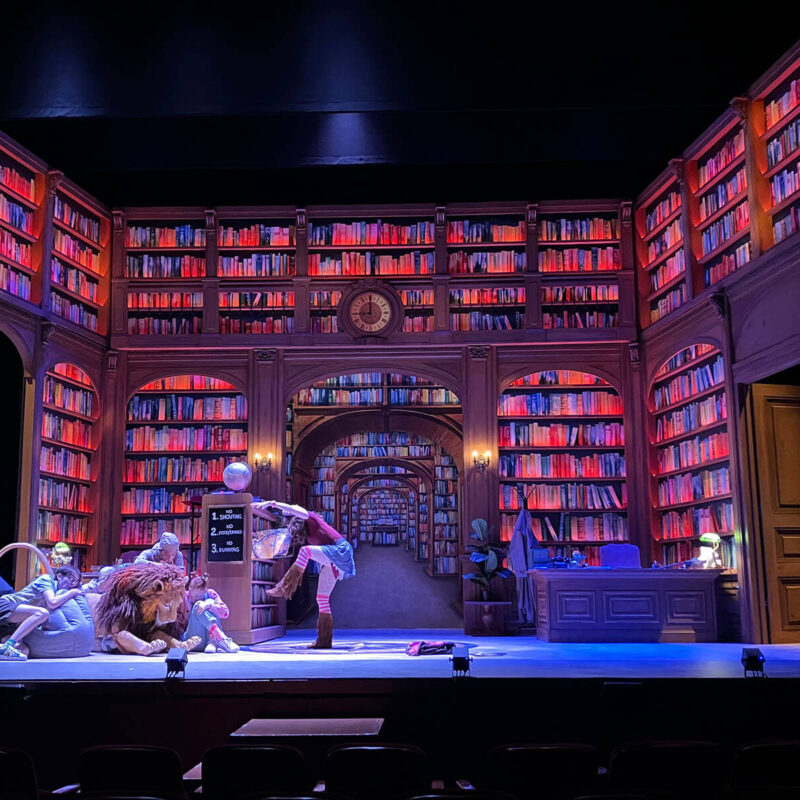 INFINITY PRODUCTIONS PORTFOLIO THEATRE PERFORMING ARTS CHICAGO OPERA Adam Theater Library Lion Landscape 017