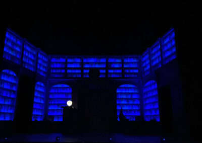 INFINITY PRODUCTIONS PORTFOLIO THEATRE PERFORMING ARTS CHICAGO OPERA Adam Theater Library Lion Landscape 019