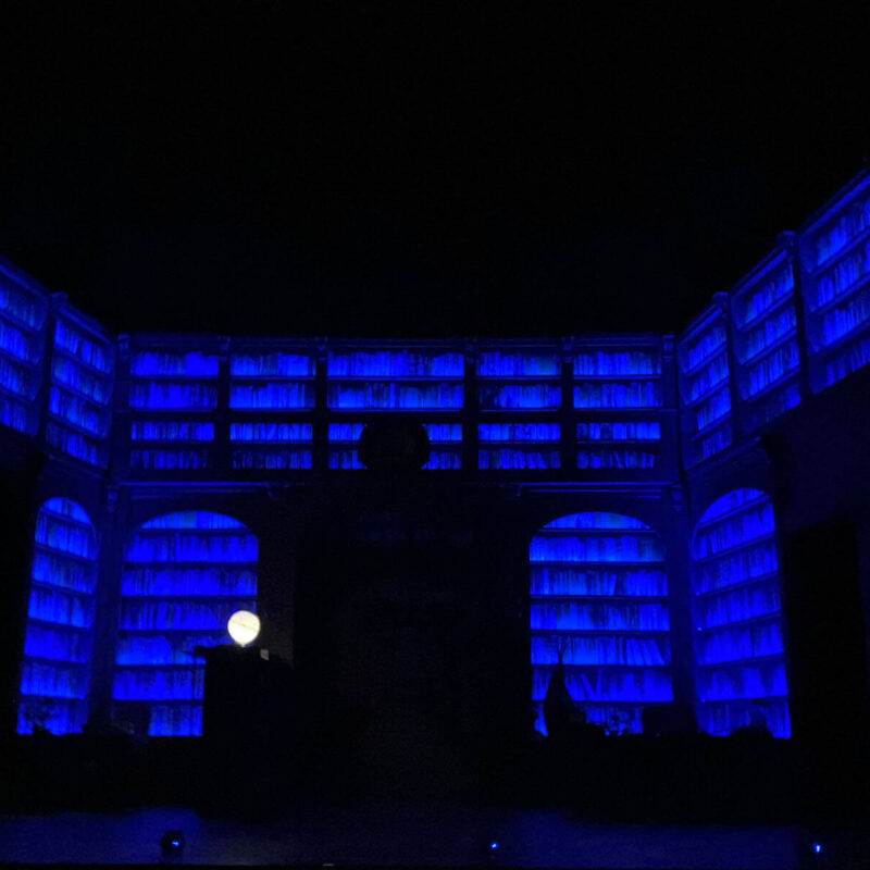 INFINITY PRODUCTIONS PORTFOLIO THEATRE PERFORMING ARTS CHICAGO OPERA Adam Theater Library Lion Landscape 019