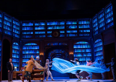 INFINITY PRODUCTIONS PORTFOLIO THEATRE PERFORMING ARTS CHICAGO OPERA Adam Theater Library Lion Landscape 02