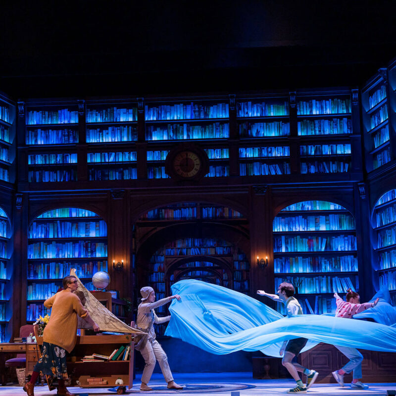 INFINITY PRODUCTIONS PORTFOLIO THEATRE PERFORMING ARTS CHICAGO OPERA Adam Theater Library Lion Landscape 02