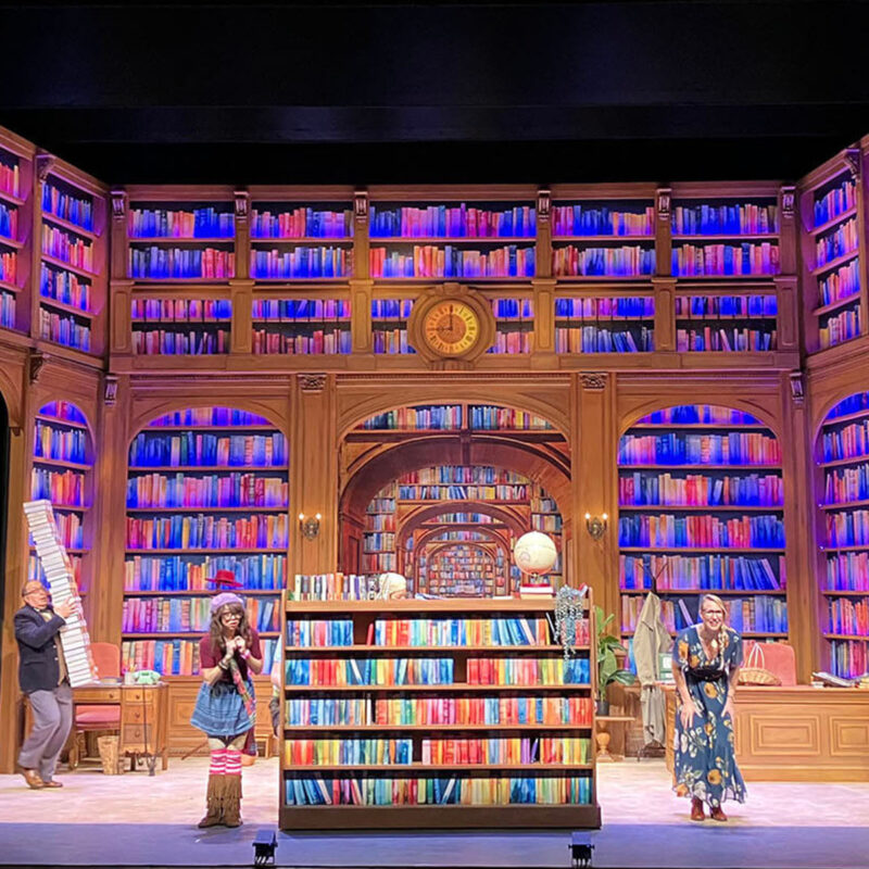 INFINITY PRODUCTIONS PORTFOLIO THEATRE PERFORMING ARTS CHICAGO OPERA Adam Theater Library Lion Landscape 020 1