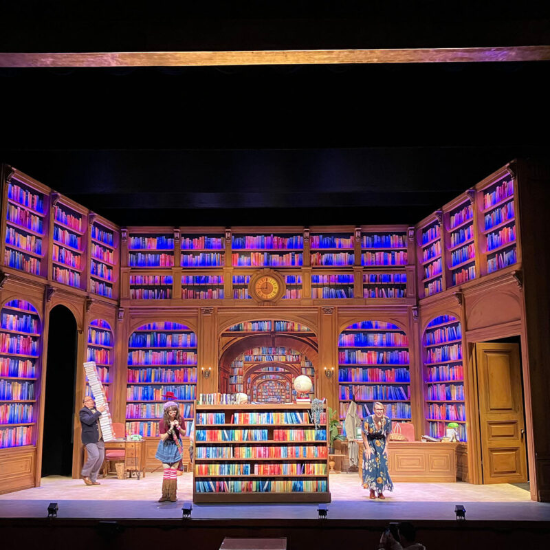 INFINITY PRODUCTIONS PORTFOLIO THEATRE PERFORMING ARTS CHICAGO OPERA Adam Theater Library Lion Landscape 020