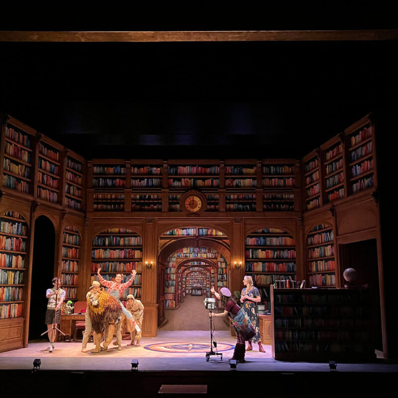 INFINITY PRODUCTIONS PORTFOLIO THEATRE PERFORMING ARTS CHICAGO OPERA Adam Theater Library Lion Landscape 021