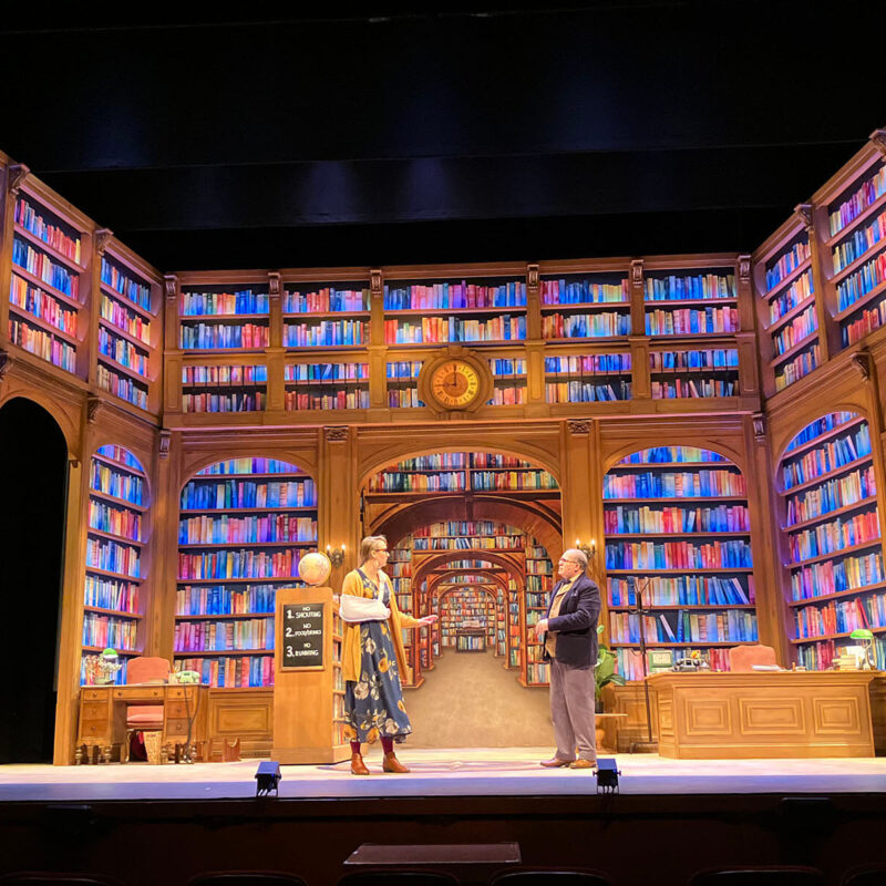 INFINITY PRODUCTIONS PORTFOLIO THEATRE PERFORMING ARTS CHICAGO OPERA Adam Theater Library Lion Landscape 023