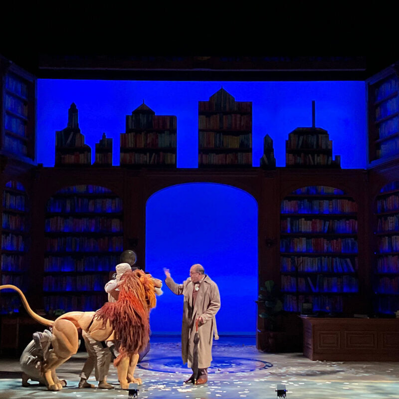 INFINITY PRODUCTIONS PORTFOLIO THEATRE PERFORMING ARTS CHICAGO OPERA Adam Theater Library Lion Landscape 024