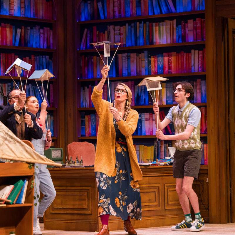 INFINITY PRODUCTIONS PORTFOLIO THEATRE PERFORMING ARTS CHICAGO OPERA Adam Theater Library Lion Landscape 03