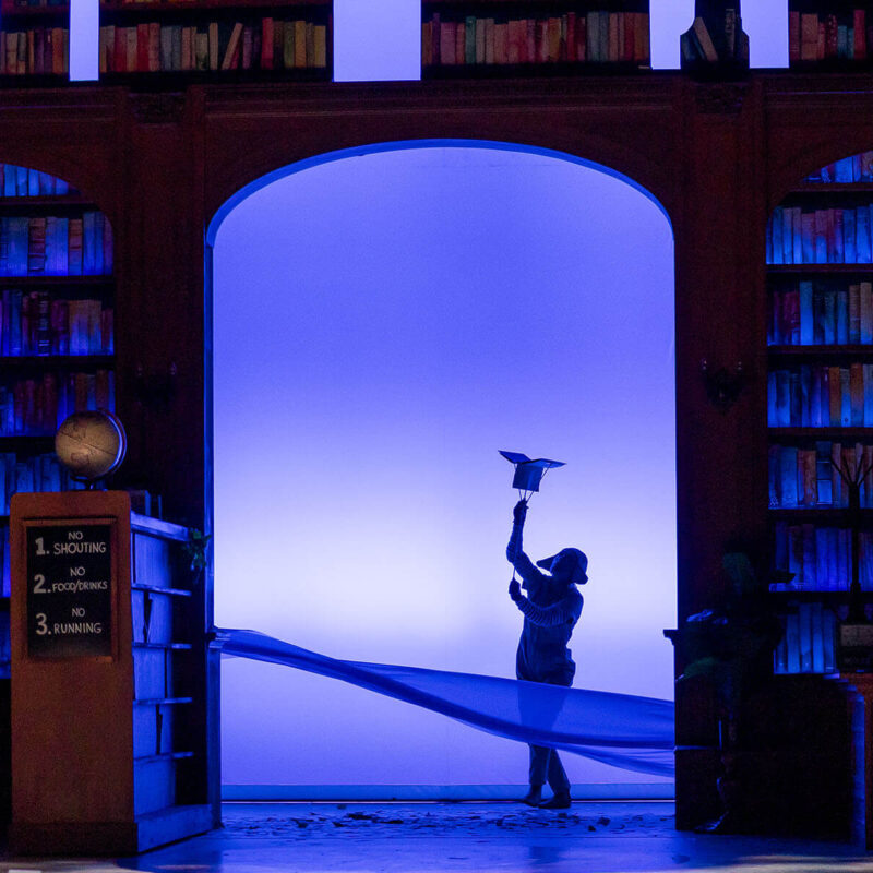 INFINITY PRODUCTIONS PORTFOLIO THEATRE PERFORMING ARTS CHICAGO OPERA Adam Theater Library Lion Landscape 04