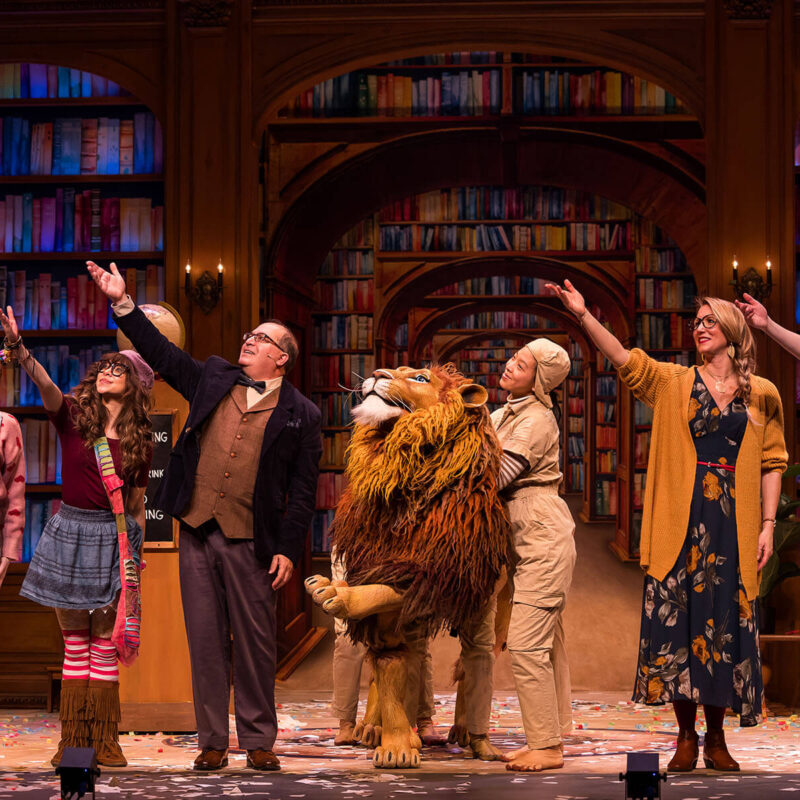 INFINITY PRODUCTIONS PORTFOLIO THEATRE PERFORMING ARTS CHICAGO OPERA Adam Theater Library Lion Landscape 05