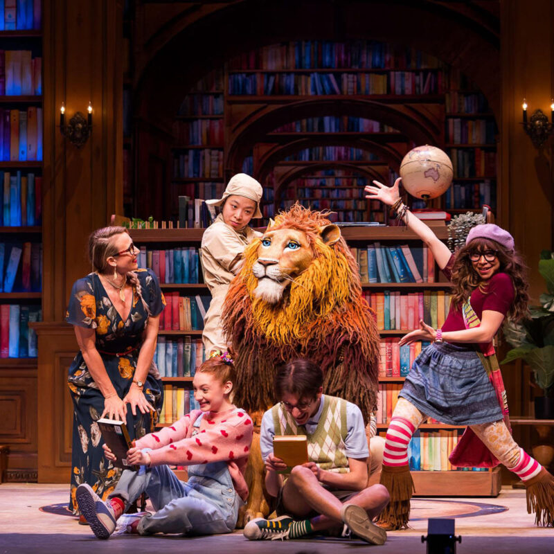 INFINITY PRODUCTIONS PORTFOLIO THEATRE PERFORMING ARTS CHICAGO OPERA Adam Theater Library Lion Landscape 06