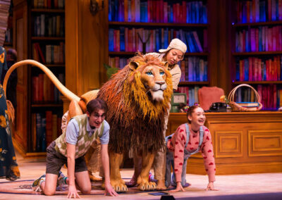 INFINITY PRODUCTIONS PORTFOLIO THEATRE PERFORMING ARTS CHICAGO OPERA Adam Theater Library Lion Landscape 07