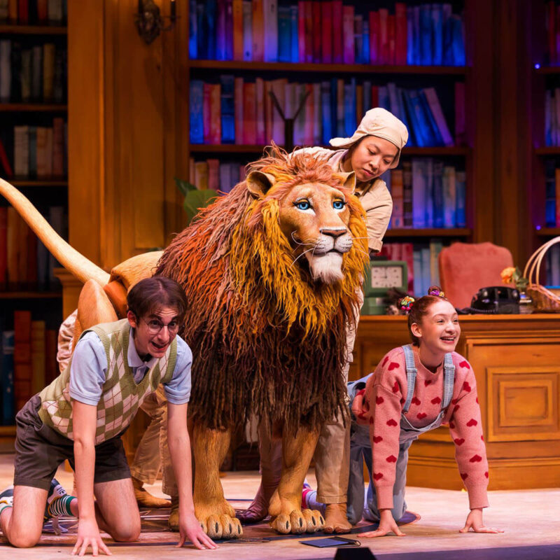 INFINITY PRODUCTIONS PORTFOLIO THEATRE PERFORMING ARTS CHICAGO OPERA Adam Theater Library Lion Landscape 07