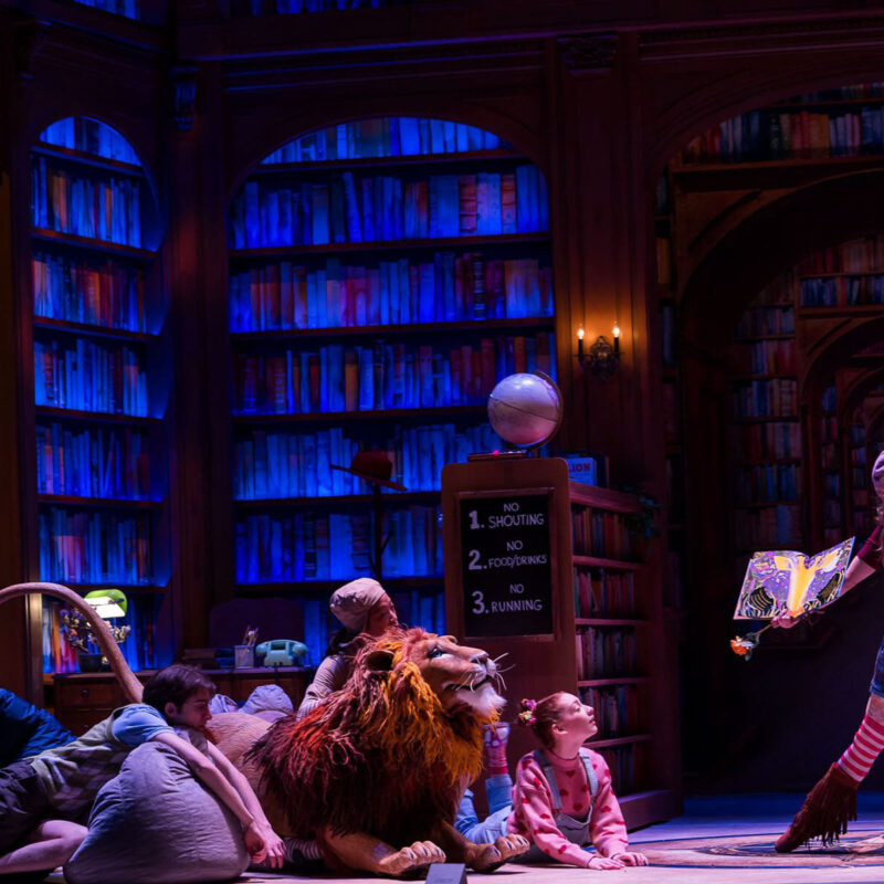 INFINITY PRODUCTIONS PORTFOLIO THEATRE PERFORMING ARTS CHICAGO OPERA Adam Theater Library Lion Landscape 08